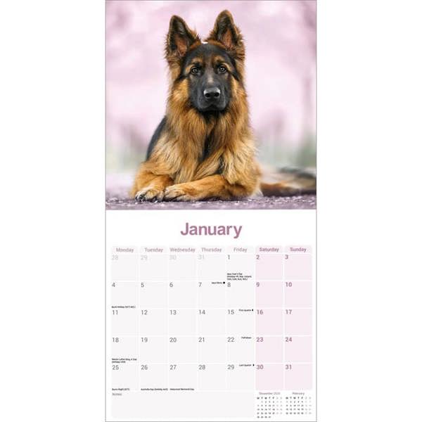 German Shepherd Calendar 2027, Wall Calendars, Month To View, Dogs, Gift
