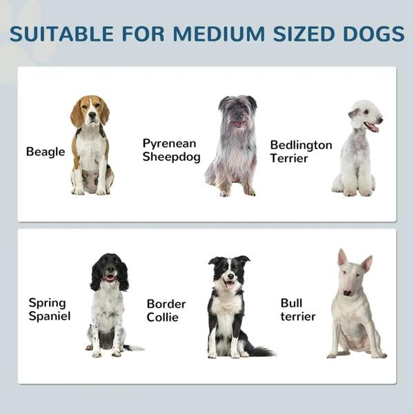 Compatibility chart showing medium-sized dog breeds for raised feeding station