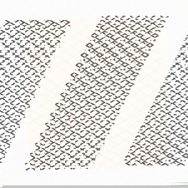 Samuel Alexander 1.8m x 1.2m Large Expanding Garden Willow Trellis Plant Support