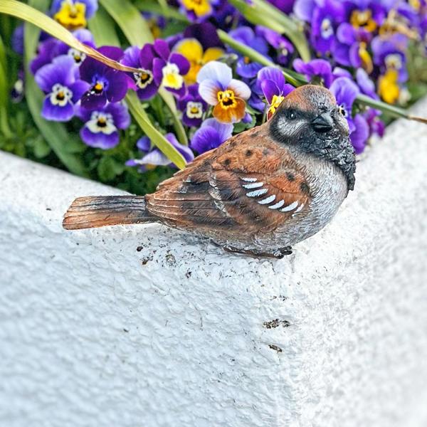 Farmwood Sparrow Bird Garden Ornament