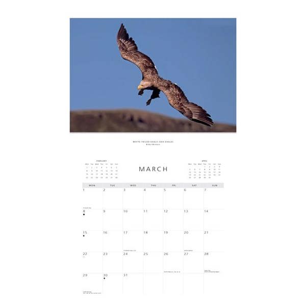 Colin Baxter, Scottish Wildlife Calendar 2027, Wall Calendars, Month To View, Animals, Gift