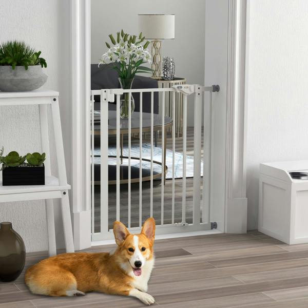 Pet Gate
