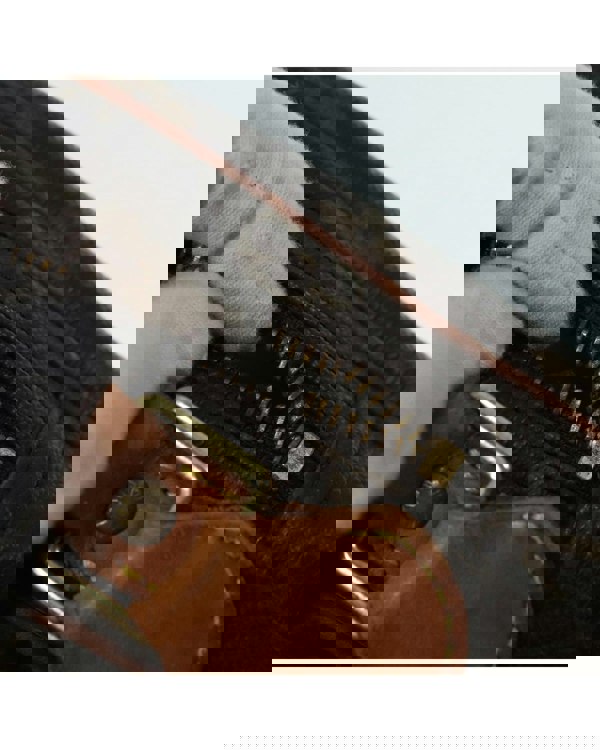 193974744.jpg