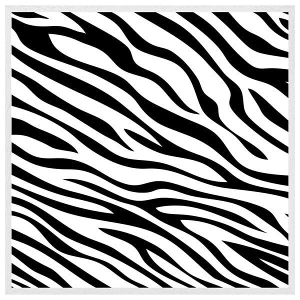 Benjamin Tate Design Zebra print (picture Frame)