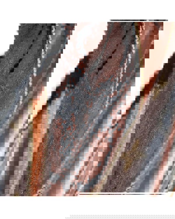 193990202.jpg