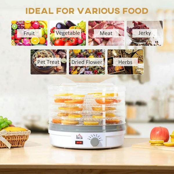 5-tray food dehydrator on countertop with orange fruit slices inside transparent lid
