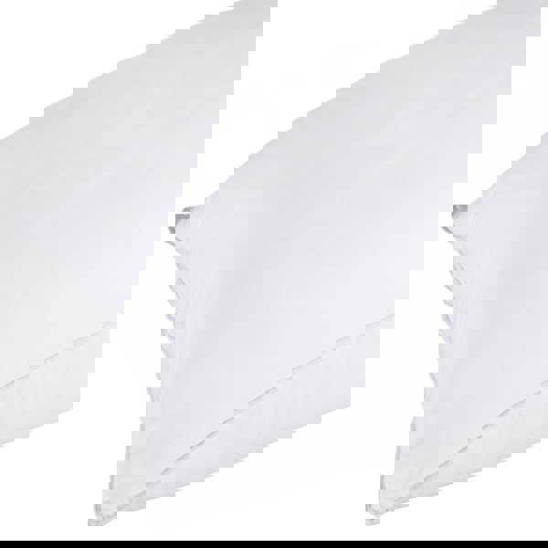 HOMESCAPES Anti Bacterial Pillow Super Microfibre, 48 x 74 cm