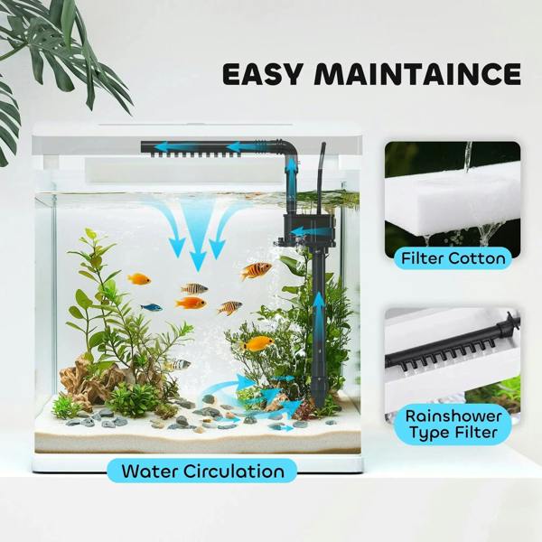 Glass fish tank with water-circulation filter and visible spray outlet in tank