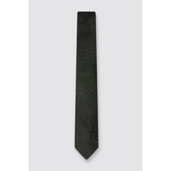 Antique Rogue Black Paisley Party Tie