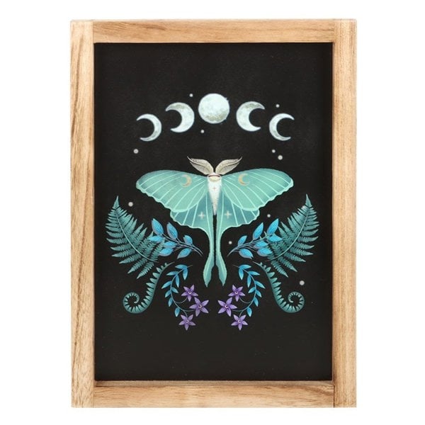 Serano Luna Moth Wooden Framed Wall Art