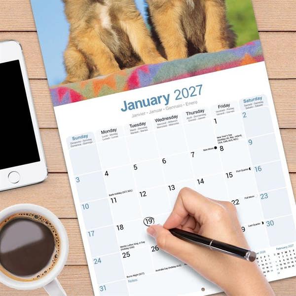 Belgian Shepherd Dog Calendar 2027, Wall Calendars, Month To View, Dogs, Gift