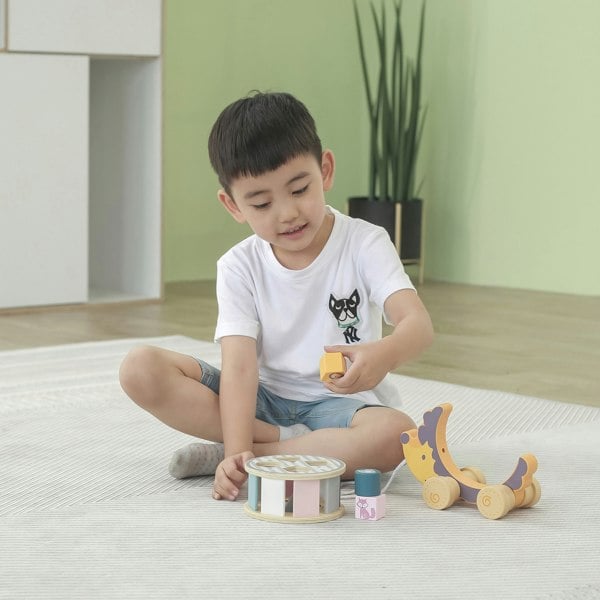 Polar B Hedgehog Sorting Wheel