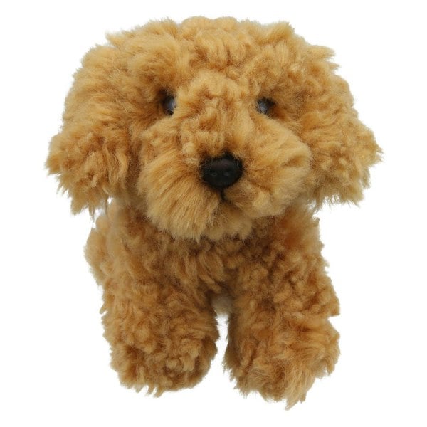 Wilberry Cockapoo - Wilberry Minis