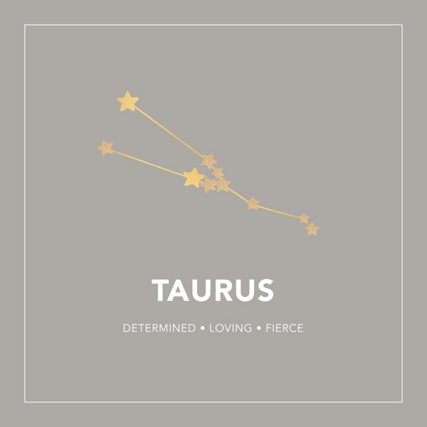 Gold Trip Taurus Zodiac Constellation Necklace