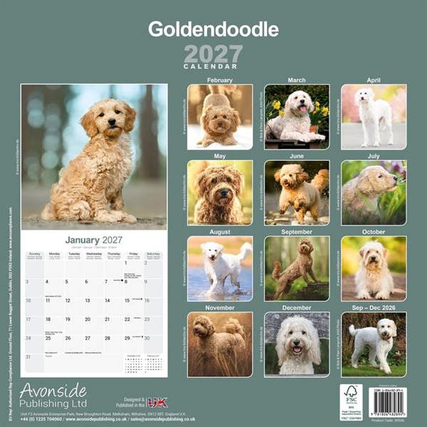 Goldendoodles Calendar 2027, Wall Calendars, Month To View, Dogs, Gift