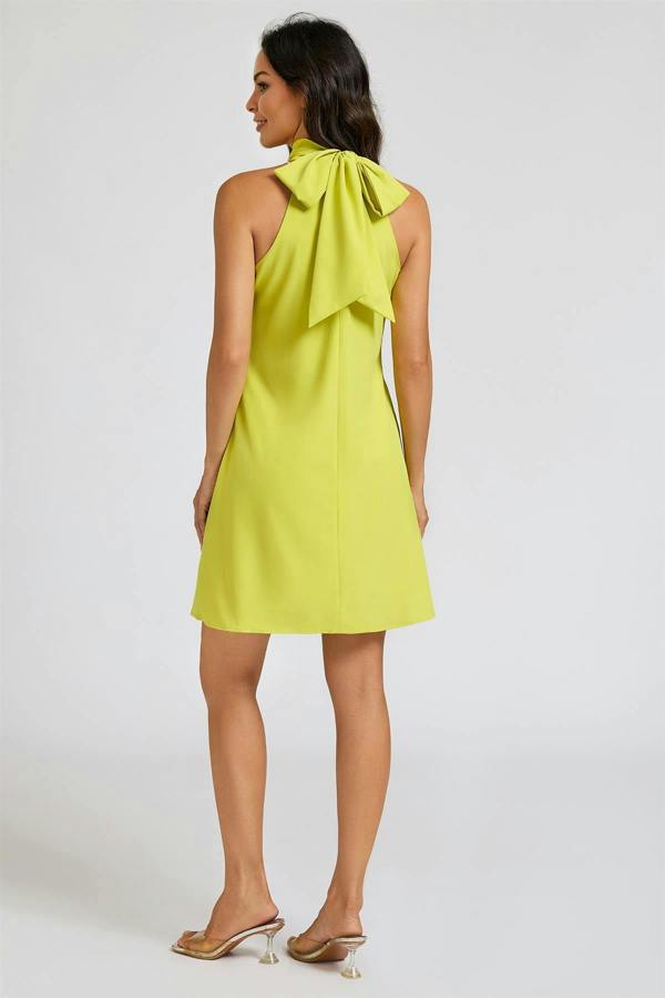 FS Collection Halter Neck Tie Back Mini Dress In Lime