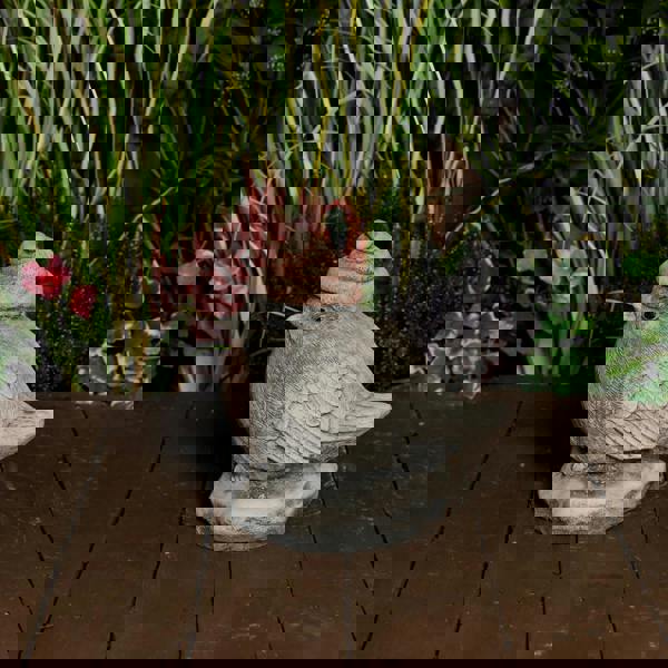 Stone Cast 'Christmas Robin' Garden Ornament 