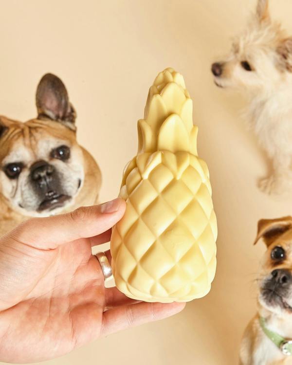 Barc London Pineapple Shaped Squeaky Dog Toy