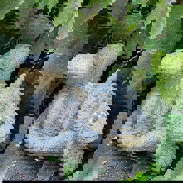 Enchanting  Dreaming Dragon Stone Cast Statue Small Outdoor Ornament Garden Sculpture