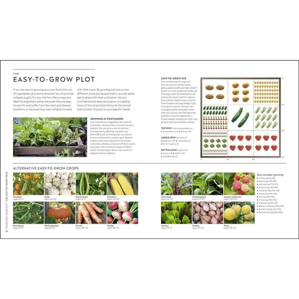 RHS Step-by-Step Veg Patch: A Foolproof Guide to Every Stage of Growing Fruit and Veg