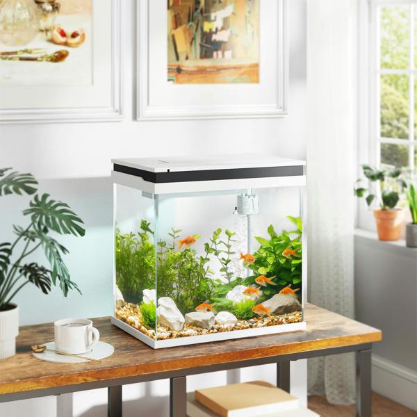 Aquarium