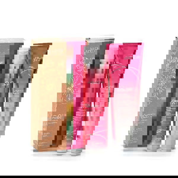 Joico Colorful Anti-Fade Shampoo Conditioner Duo