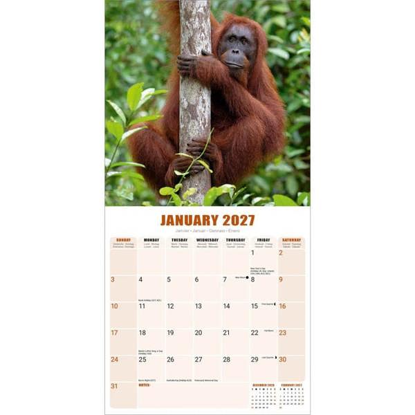 Apes Calendar 2027, Wall Calendars, Month To View, Animals, Gift