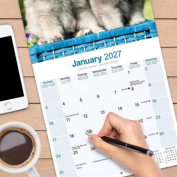 Keeshond Calendar 2027, Wall Calendars, Month To View, Dogs, Gift