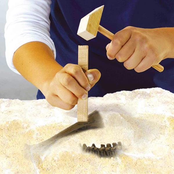Dino SES Creative Dino and skeleton excavation 2 in 1 - Stegosaurus