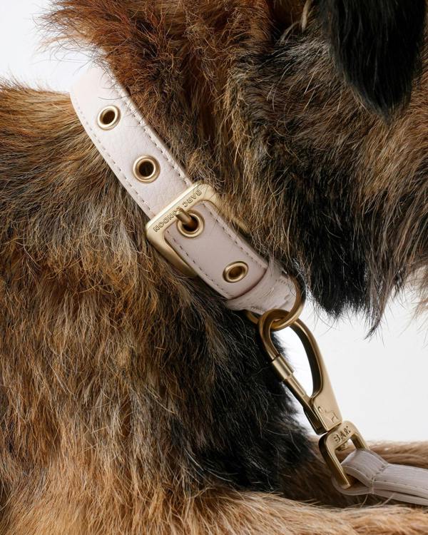 Barc London Light Ivory Dog Collar