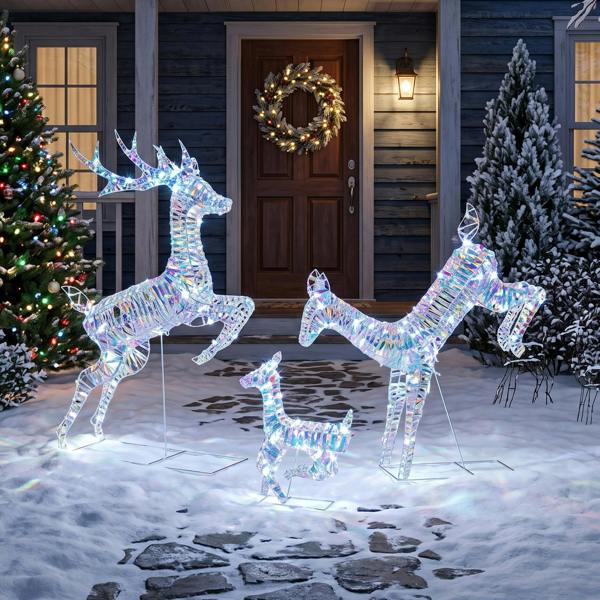 Lighted Christmas Decoration