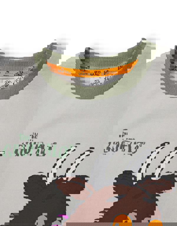 Gruffalo & Friends Boys Multicoloured Colour block T-Shirt and Shorts Set