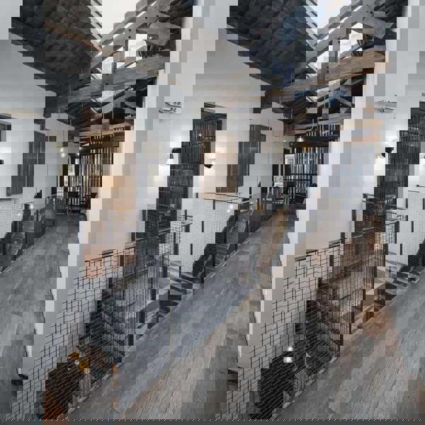 black modern outdoor wall lamp mounted either side of a front door 