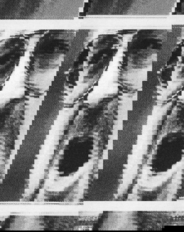 Big Lebowski Mens White The Dude And Walter Short Sleeved T-Shirt