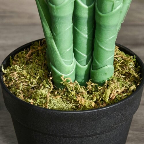 Wyld Haus Vavi Artificial Green Palm Style Tree In Nursery Pot For Home And Office Styling