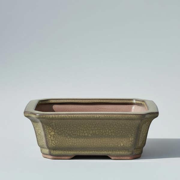 Yorkshire Bonsai 12cm Glazed Bonsai Pot | Rectangle | 12cm x 10cm x 4cm | Green