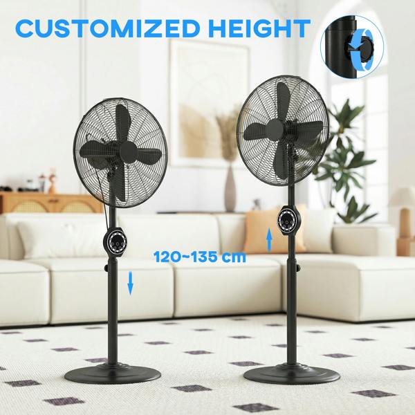Floor Fan