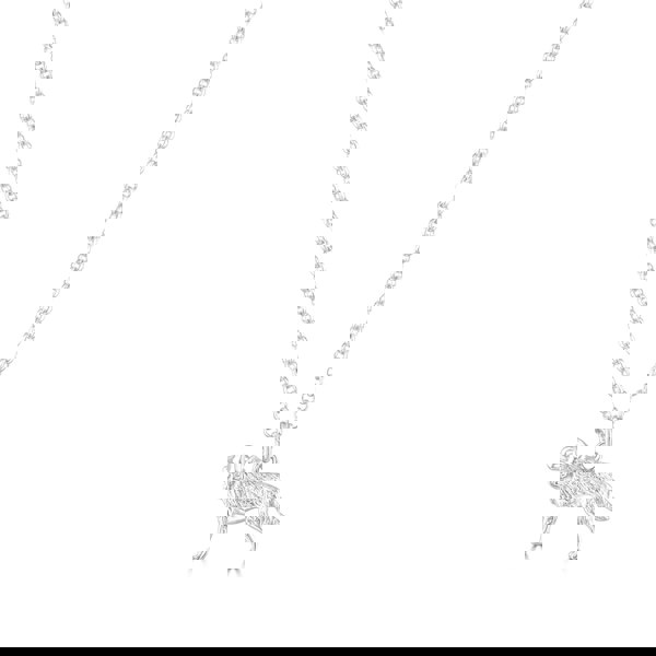 Cocker Spaniel Silver Necklace - Personalised - MYLEE London