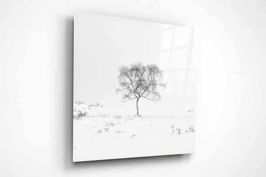 minimalist tree photography