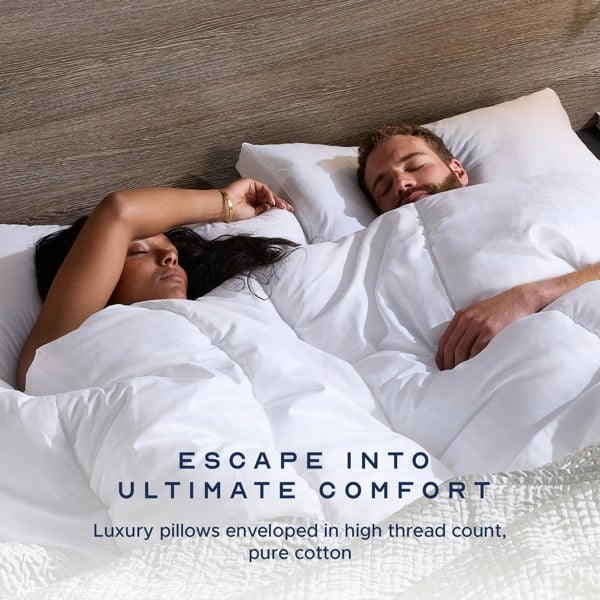Snuggledown Back Sleeper Pillow