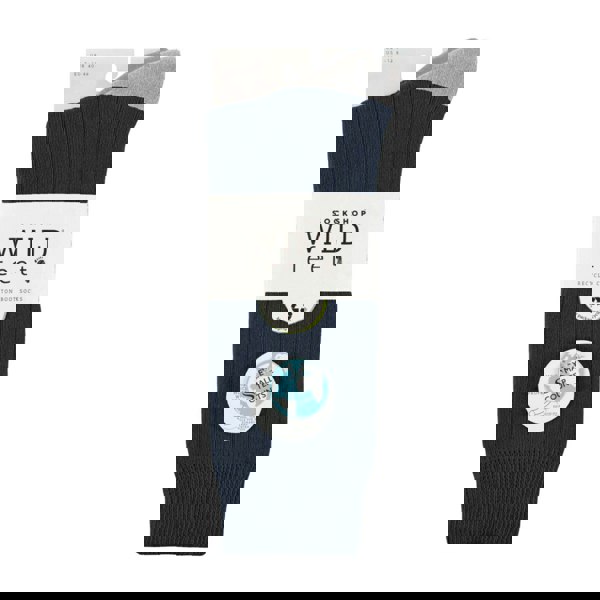 t4option1_1