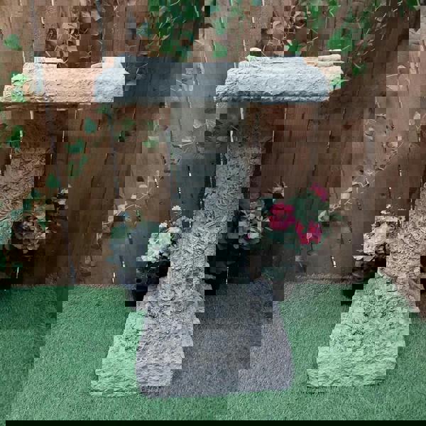 Stone Cast Detailed Jurassic Birdbath