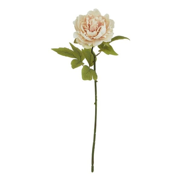 Wyld Haus Set of 3 Artificial Flowers Blush Peony Stem