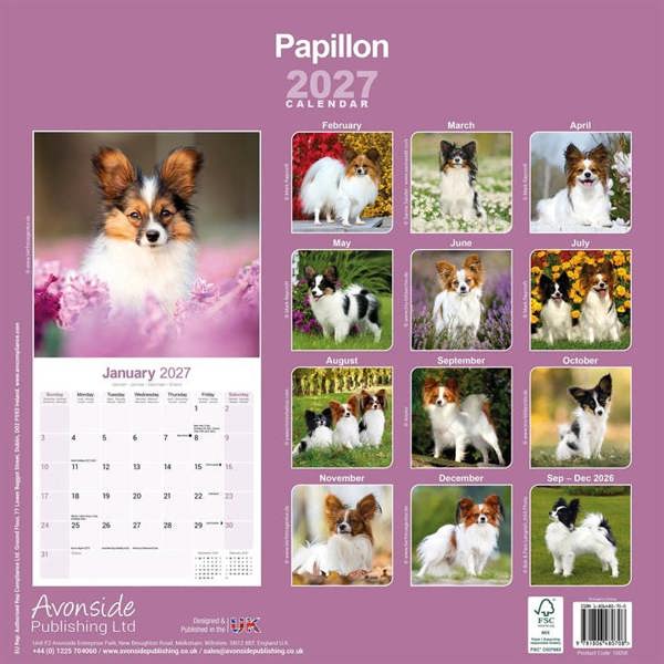 Papillon Calendar 2027, Wall Calendars, Month To View, Dogs, Gift