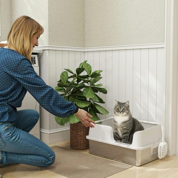 Cat Litter Box