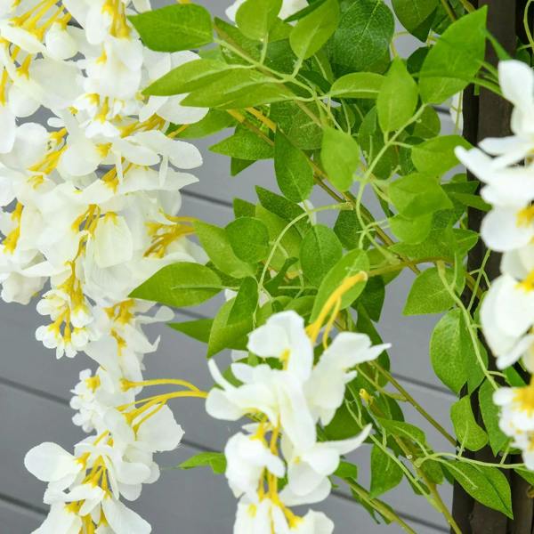 Close-up of white wisteria blossoms with yellow centers and green leaf clusters
