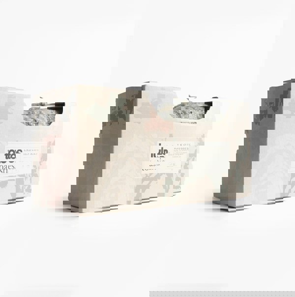 Totes Toasties KNITTED Ballet Slippers Womens Blue