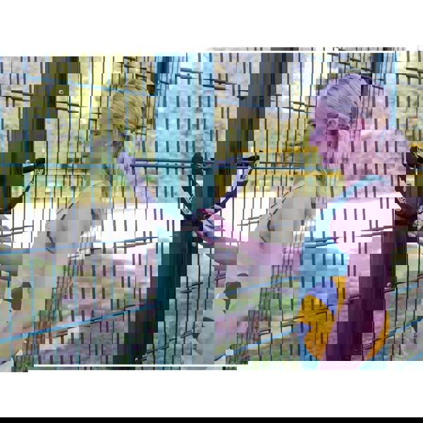 Abus Mechanical 57 Touch Padlock - Multi Colour - 