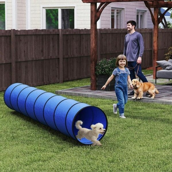 Dog Tunnel, 300 x 50 cm, Foldable Play Tunnel with 4 Pegs and Bag, Tear-Resistant Outdoor Dog Agility Equipment, Blue - Blue