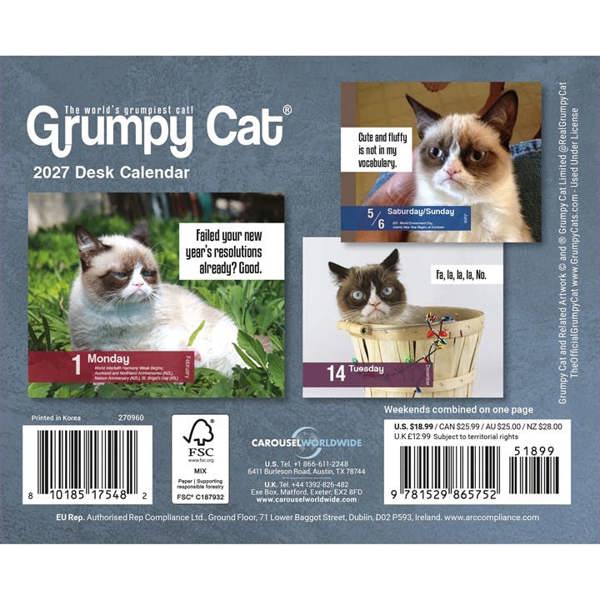 Unbranded Grumpy Cat Desk Calendar 2027, Desk Calendars, Day To View, Humour, Gift